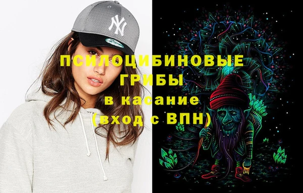 дживик Володарск
