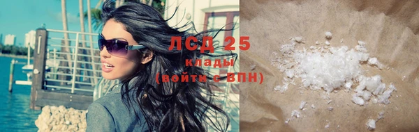 PSILOCYBIN Волосово